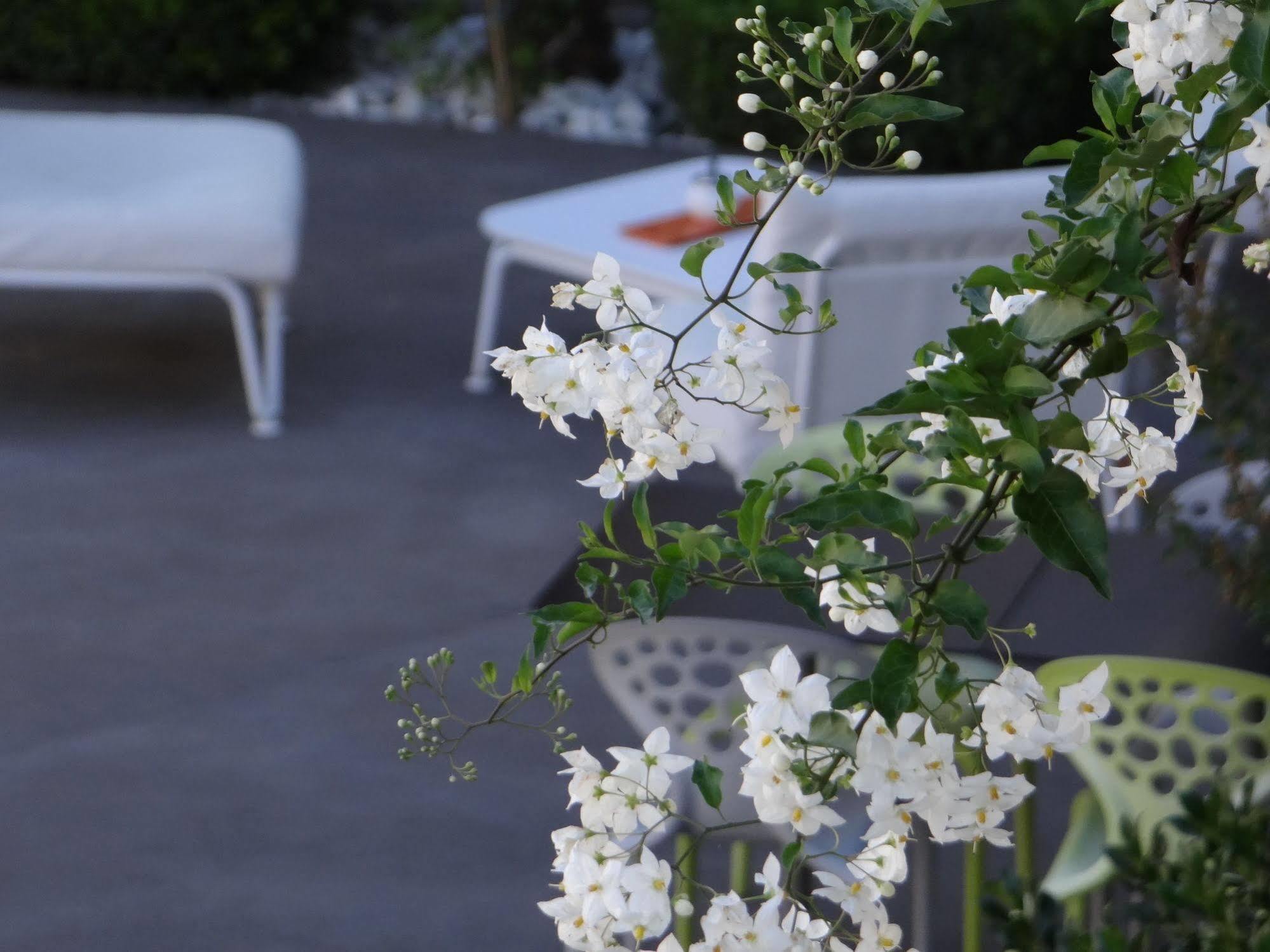 Hotel Patio De Violette Uzès Exterior foto